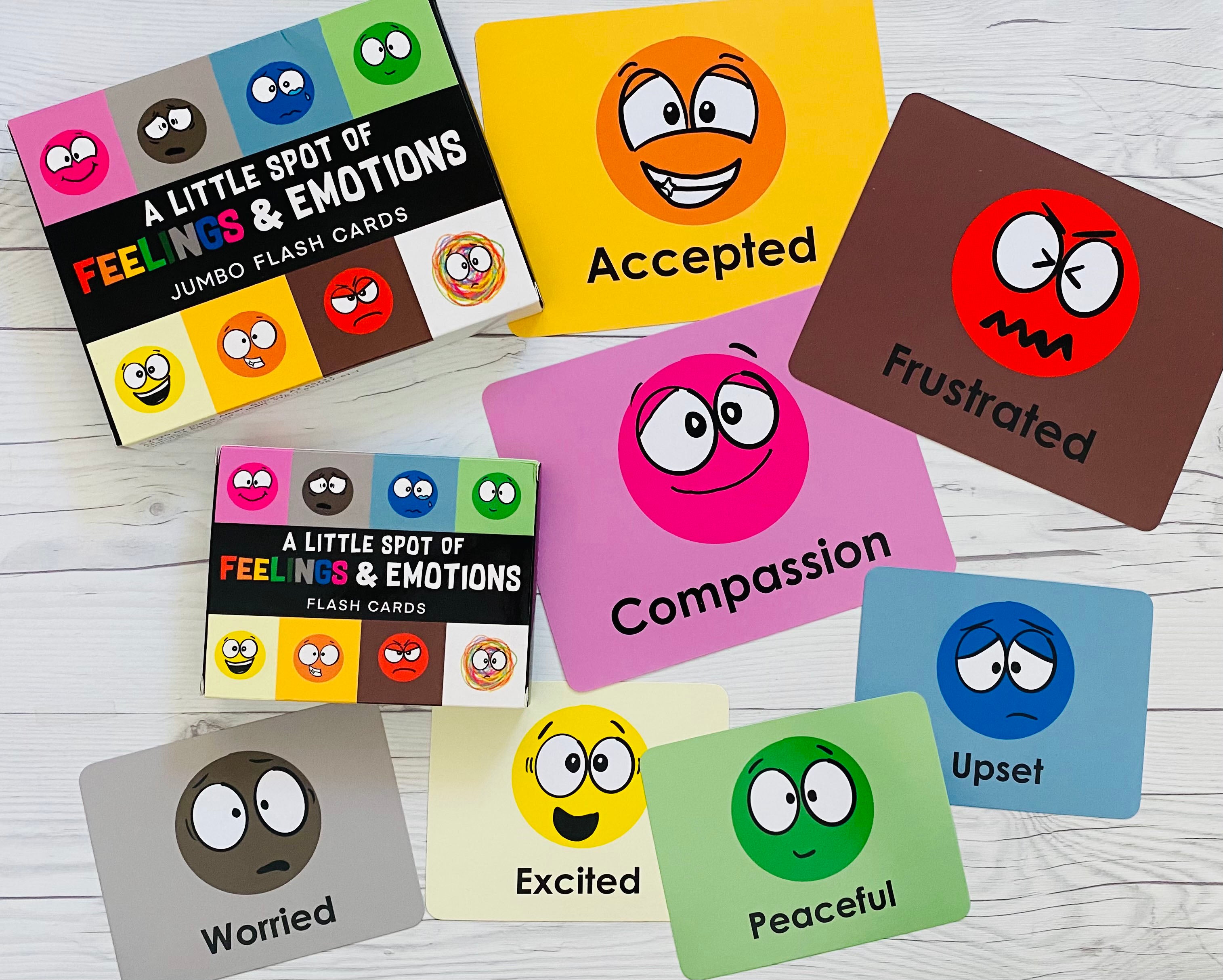 Flashcards Pack - All 13 Flashcard Sets